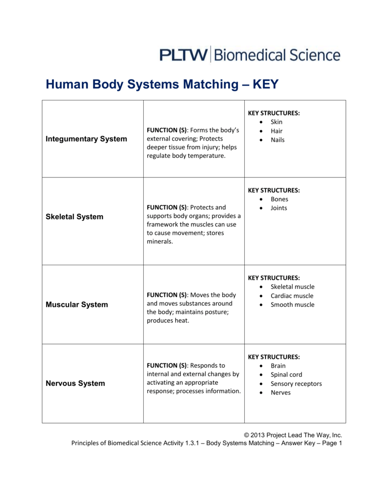 Human Body Systems Matching â Key